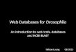 Web Databases for Drosophila An introduction to web tools, databases and NCBI BLAST Wilson Leung08/2015