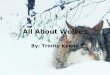 All About Wolves By: Trinity Kenna Introducing: Bella and Jadyn