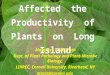 How Ozone Has Affected the Productivity of Plants on Long Island Margaret T. McGrath Dept. of Plant Pathology and Plant-Microbe Biology, LIHREC, Cornell