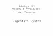 Biology 212 Anatomy & Physiology I Dr. Thompson Digestive System