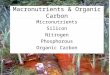 Macronutrients & Organic Carbon Micronutrients Silicon Nitrogen Phosphorous Organic Carbon