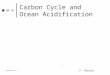 Carbon Cycle and Ocean Acidification Inspiration 9 V. Soutar