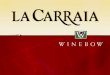 Overview Estate Owned by: The Gialletti and Cotarella families Wine Region: Umbria Winemaker: Riccardo Cotarella Total Acreage Under Vine: 300 Estate
