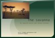 The savanna By Aqeelah welsh and Sahana kanabar Climate