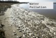 Water Pollution. Core Case Study: Using Nature to Purify Sewage  Ecological wastewater purification by a living machine. Uses the sun and a series of