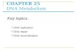 CHAPTER 25 DNA Metabolism  DNA replication  DNA repair  DNA recombination Key topics: