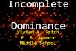 Incomplete Dominance Vivian R. Smith E. B. Aycock Middle School