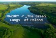 MAZURY - „The Green Lungs” of Poland Błażej Orłowski and Adam Neumann