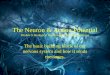 The Neuron & Action Potential Module 9: Biological Psychology & Neurotransmission The basic building block of our nervous system and how it sends messages