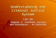 Understanding the Criminal Justice System CJUS 101 Chapter 4: Criminal Justice and Procedures – An Overview