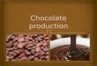   Chocolate production starts with harvesting cocoa beans in a forest  Cocoa beans come from tropical evergreen cocoa trees (Theobroma Cocoa) growing