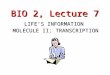BIO 2, Lecture 7 LIFE’S INFORMATION MOLECULE II: TRANSCRIPTION