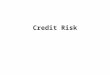 Credit Risk. Possibility of loss from the failure of loan or debt instrument repayments. Change in the repayment capacity of borrowers or debt instruments