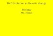 16.2 Evolution as Genetic change Biology Mr. Hines
