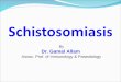 Schistosomiasis By Dr. Gamal Allam Assoc. Prof. of Immunology & Parasitology