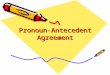 Pronoun-Antecedent Agreement. What do you need to understand about pronoun-antecedent agreement errors? What’s a pronoun? What’s an antecedent? What’s