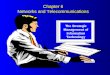 Chapter 6 Networks and Telecommunications The Strategic Management of Information Technology