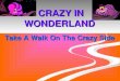 CRAZY IN WONDERLAND Take A Walk On The Crazy Side