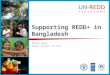 Supporting REDD+ in Bangladesh Matieu Henry Dhaka, October 25 h 2011