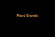 Plant Growth. Meristem and Growth Meristem tissues are perpetually embryonic tissues in plants. Apical meristems are located at the tips of roots and