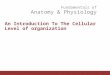 Fundamentals of Anatomy & Physiology An Introduction To The Cellular Level of organization