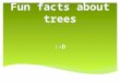 Fun facts about trees :-D. Dust carried by the wind can be limited to 75% thanks to the trees. Smoke and unpleasant smells can be absorbed by the trees