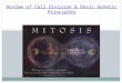Review of Cell Division & Basic Genetic Principles