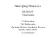 Emerging Diseases Lecture 9: Filoviruses 9.1 Overview 9.2: Outbreaks: Marburg, N’zara, Yambuku, Reston, Kikwit, West Africa 9.3 Summary