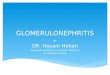 GLOMERULONEPHRITIS BY DR. Hayam Hebah Associate professor of Internal Medicine AL Maarefa college