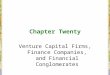 Chapter Twenty Venture Capital Firms, Finance Companies, and Financial Conglomerates