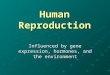 Human Reproduction Influenced by gene expression, hormones, and the environment