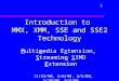 1 Introduction to MMX, XMM, SSE and SSE2 Technology Multimedia Extension, Streaming SIMD Extension 11/23/98, 5/6/99, 2/5/03, 5/10/04, 5/4/05