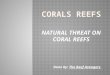 NATURAL THREAT ON CORAL REEFS Done by: The Reef Avengers