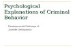 Psychological Explanations of Criminal Behavior Developmental Pathways of Juvenile Delinquency