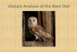 Dietary Analysis of the Barn Owl. Why? Barn Owl decrease in Pennsylvania and throughout its range 1 st PA Breeding Bird Atlas 1983-89