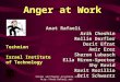 Slides and Papers Available at  Anger at Work Anat Rafaeli Arik Cheshin Rellie Derfler Dorit Efrat Amir Erez Sharon Lubasch Ella