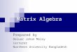 Matrix Algebra Prepared by Deluar Jahan Moloy Lecturer Northern University Bangladesh