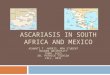 ASCARIASIS IN SOUTH AFRICA AND MEXICO ASHANTI T. HARRIS, MPH STUDENT WALDEN UNIVERSITY PUBH 6165 DR. PATRICK TSCHIDA FALL, 2011