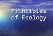 Principles of Ecology. What is Ecology? Branch of biology developed from natural history Branch of biology developed from natural history Scientific study
