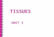TISSUES UNIT 3. I. Types of Tissues 1.Epithelial tissue a.Covers body surfaces b.Lines hollow organs, body cavities and ducts c.Forms glands