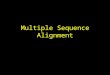 Multiple Sequence Alignment. Definition Homology: related by descent Homologous sequence positions ATTGCGC  ATTGCGC  ATCCGC C ATTGCGC AT-CCGC  ATTGCGC