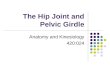 The Hip Joint and Pelvic Girdle Anatomy and Kinesiology 420:024