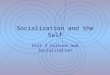 Socialization and the Self Unit 2 Culture and Socialization