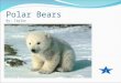 Polar Bears By: Taylor 1. Table of contents Intro…………………………………………………. Page 3 Live……………………………………………………Page