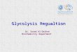 Glycolysis Regualtion Dr. Sooad Al-Daihan Biochemistry department