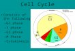 Cell Cycle Consists of the following: –G1 phase –S phase –G2 phase –M Phase –Cytokinesis