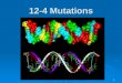 1 12-4 Mutations. 2  Mutation = change in genetic material  Gene mutation = changes in a single gene  Chromosomal mutation = changes in whole chromosomes