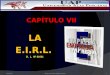 CAPÍTULO VII LAE.I.R.L. D. L. Nº 21621 10/04/2015Abog. Armando Zapata Torres1