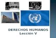 DERECHOS HUMANOS Lección V. ORGANIZACIÓN DE LAS NACIONES UNIDAS (ONU)