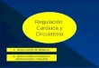 Regulación Cardiaca y Circulatoria B.- REGULACIÓN EXTRINSECA (NERVIOSA)DEL CORAZÓN A.- REGULACIÓN INTRINSECA